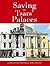 Saving the Tsars' Palaces