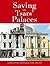 Saving the Tsars' Palaces by Christopher Morgan