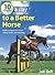 30 Minutes a Day to a Better Horse by Jaki Bell