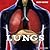Lungs (Body Works)