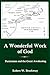 A Wonderful Work Of God: Puritanism and the Great Awakening (Studies in Eighteenth-Century America and the Atlantic World)