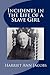 Incidents In The Life Of A Slave Girl by Harriet Ann Jacobs