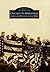 Chicago to Springfield: Crime and Politics in the 1920s (Images of America: Illinois)