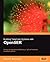 Building Telephony Systems with OpenSER: A step-by-step guide to building a high performance Telephony System