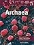 Archaea: Salt-Lovers, Metha...
