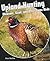 Upland Hunting: Pheasant, Q...