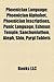 Phoenician Language: Phoenician Alphabet, Phoenician Inscriptions, Punic Language, Eshmun Temple, Sanchuniathon, Aleph, Shin, Pyrgi Tablets