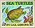 Sea Turtles (New & Updated)