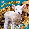 Lamb (See How They Grow) Lamb (See How They Grow)
