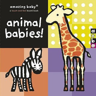 Animal Babies (Hardcover)