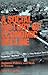 Social History of Economic Decline: Business, Politics, and Work in Trenton (Class and Culture Series)