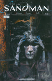 The Sandman N.20