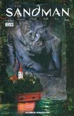 The Sandman N.21