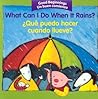 What Can I Do When It Rains?/¿Qué puedo hacer cuando llueve?: Bilingual English-Spanish (Good Beginnings)