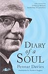 Diary of a Soul