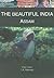 The Beautiful India - Assam by S.A. Rahman