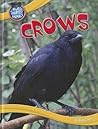 Crows (World's Smartest Animals)