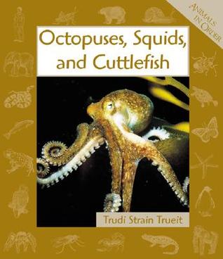 Octopuses, Squids, and Cuttlefish (Animals in Order)