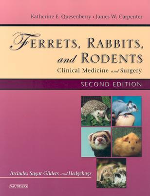 Ferrets, Rabbits and Rodents: Clinical Medicine and Surgery (Paperback)
