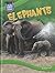 Elephants (World's Smartest Animals)