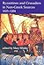Byzantines and Crusaders in Non-Greek Sources, 1025-1204 (Proceedings of the British Academy: Themed volumes of essays in the humanities and social sciences, 132)