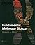Fundamental Molecular Biology