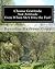 Choose Gratitude Not Attitude Even When Sh*t Hits the Fan!: A 30 Day Interactive Journal to Discover Your Own Gratitude