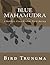 Blue Mahamudra: A Buddhist, Crazy-Wisdom, Poetic Journey