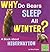 Why Do Bears Sleep All Wint...