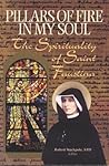 Pillars of Fire in My Soul: The Spirituality of Saint Faustina