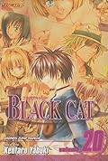 Black Cat, Volume 20