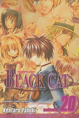 Black Cat, Volume 20 (Paperback)