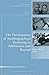 The Development of Autobiographical Reasoning in Adolescence and Beyond: New Directions for Child and Adolescent Development, Number 131