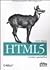 HTML 5: Guida operativa