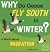 Why Do Geese Fly South in W...