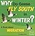 Why Do Geese Fly South in Winter?: A Book About Migration (First Facts)