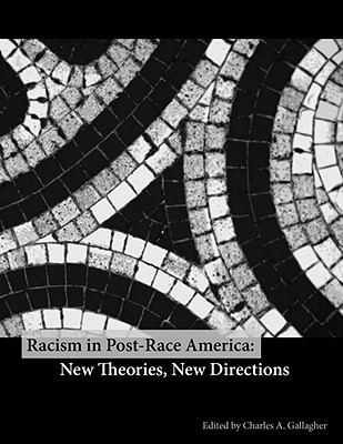 Racism in Post-Race America: New Theories, New Directions (Paperback)