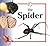 The Spider (Life Cycles)