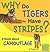 Why Do Tigers Have Stripes?: A Book About Camouflage (First Facts)