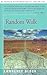 Random Walk by Lawrence Block