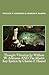 Thought Vibration by William W. Atkinson, and, The Master Key... by William Walker Atkinson