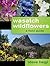 Wasatch Wildflowers
