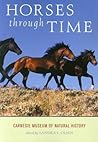 Horses through Time by Sandra L. Olsen
