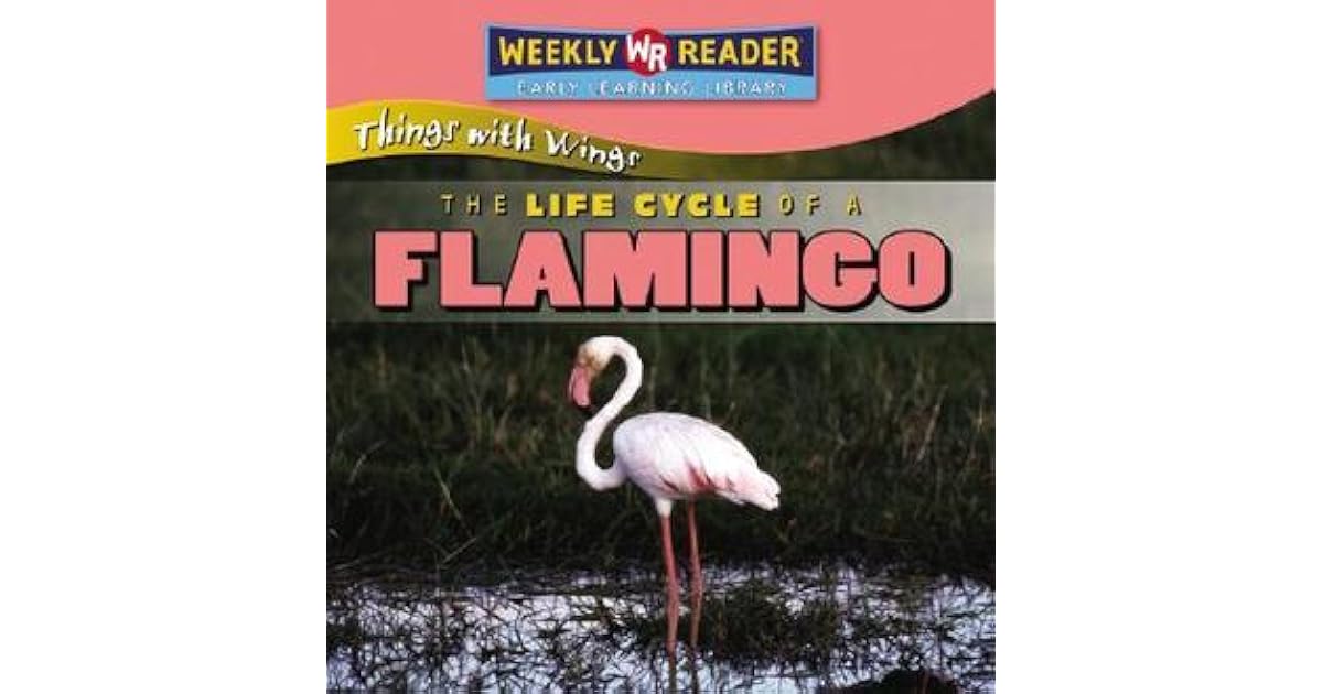 The Life Cycle of a Flamingo by JoAnn Early Macken