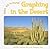 Graphing in the Desert (Math All Around, 2)