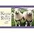 Know Your Sheep