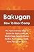 Bakugan How to Boot Camp: The Fast and Easy Way to Learn the Basics with 64 World Class Experts Proven Tactics, Techniques, Facts, Hints, Tips a