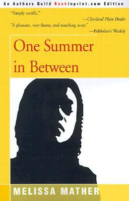 One Summer in Between (Paperback)