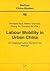 Labour Mobility in Urban China: An Integrated Labour Market in the Making? (46) (Berliner China-Studien)