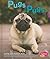 Pugs ~ Perritos/Dogs